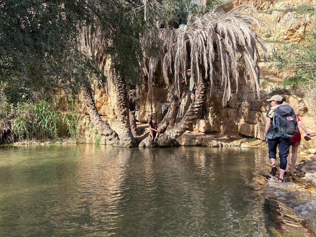 נוף מארץ התנ"ך